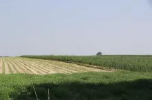 200295