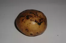 456885