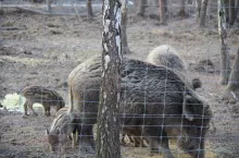Zmiany legislacyjne są konieczne