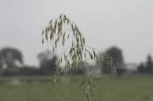 456224
