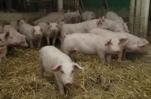 456285