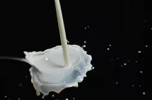 238023