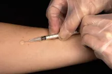 237944