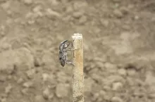 456076