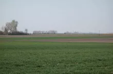 926245