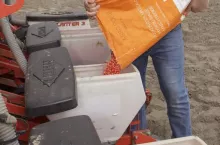 456017