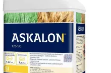 ASKALON® 125 SC - efektywne rozwiązanie do walki z podstawowymi chorobami zbóż