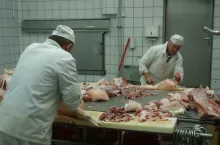 ,,Małe rzeźnie‘‘ – opinia samorządu rolniczego