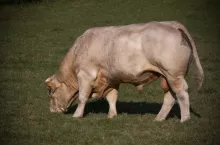 455902