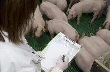 455824