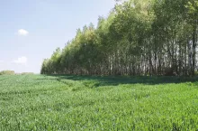 455691