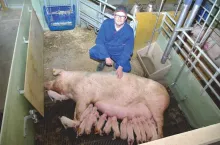 455598