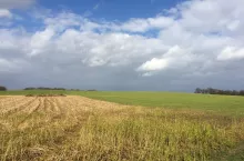 237496