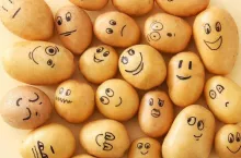 Art. Funny potato on a yellow background