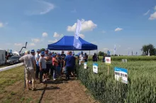 Panorama Pól Timac Agro