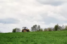 237278