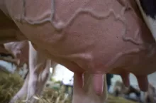 454928