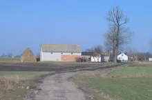 925956
