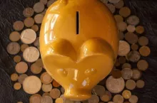 236981