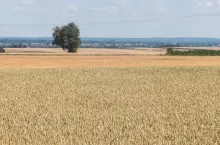 454748