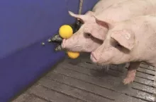 236912