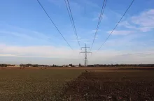 236801