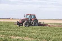 454427