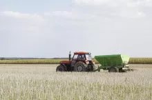 454443