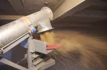 500391