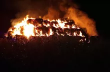 454304