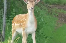 925763