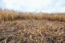 454076