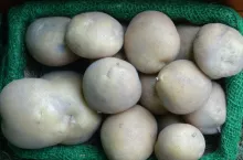 925722