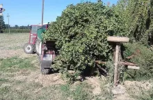 453952