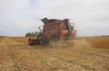 875586