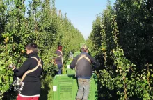 Od 1 stycznia 2018 r. nowe zasady zatrudniania cudzoziemców