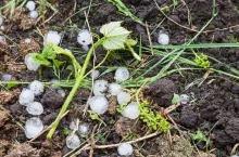 925654