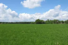 925635