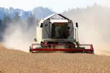 236080
