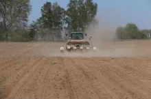 453592
