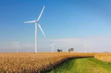 Towering wind turbines spin over a cornfield and farm at harvest time in the midwest on a sunny day.