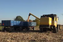 453368