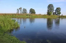 895593