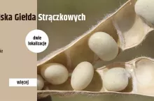 453239
