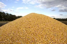 453137