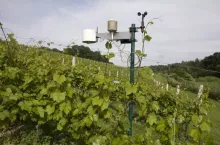 453104