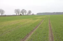 452755