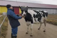 452519