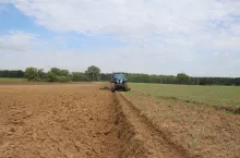 925331