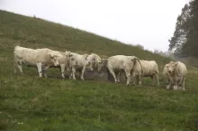 452459